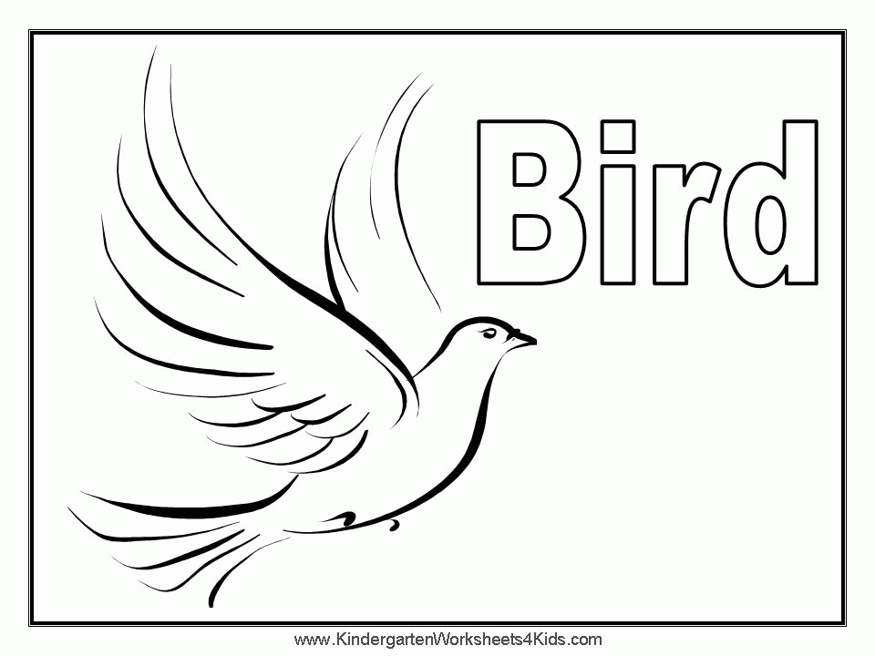 Bird 34
