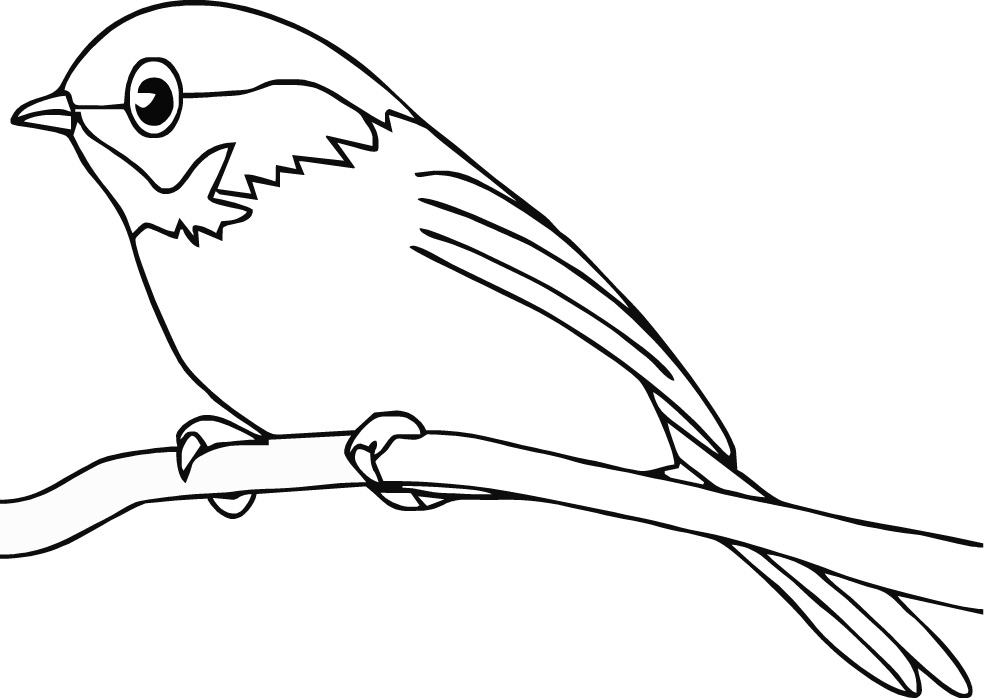 Bird 9 Cool Coloring Page