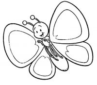 Cool Butterfly 38