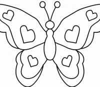 Butterfly 40 For Kids