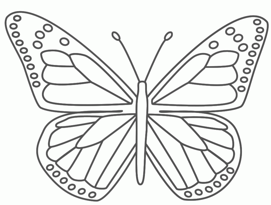 Butterfly 1 Cool Coloring Page