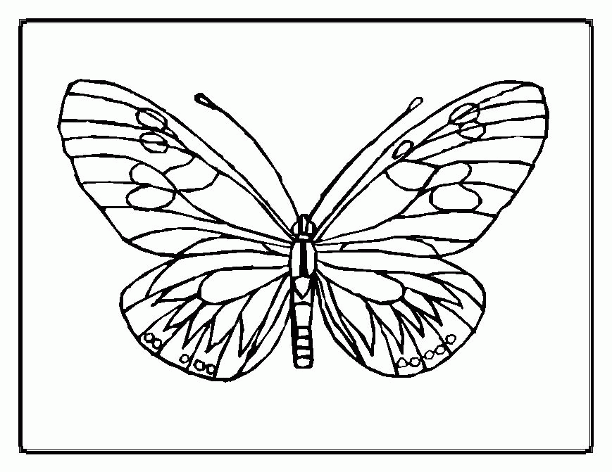 Cool Butterfly 10 Coloring Page