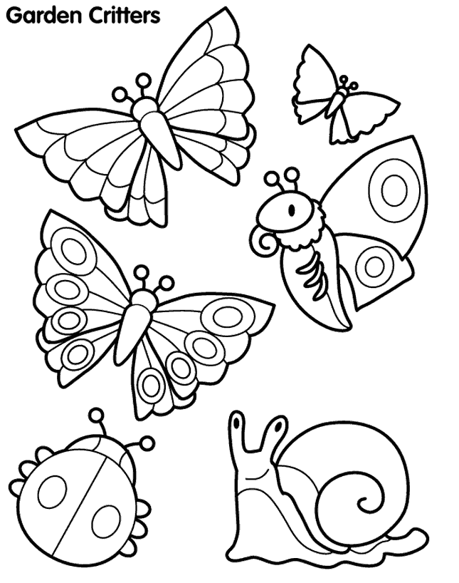 Butterfly 16 For Kids Coloring Page