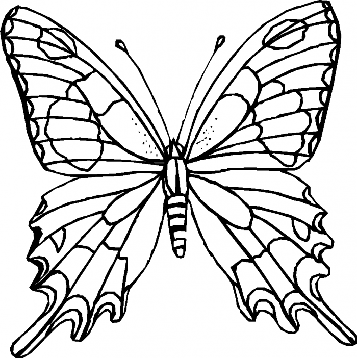Cool Butterfly 22 Coloring Page
