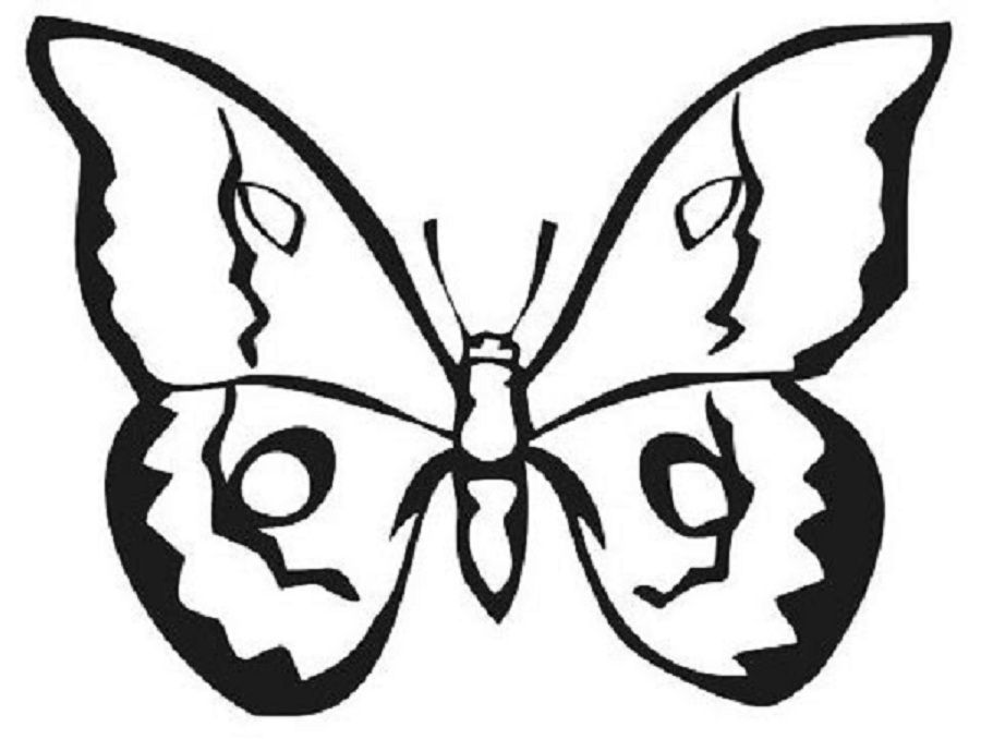 Butterfly 28