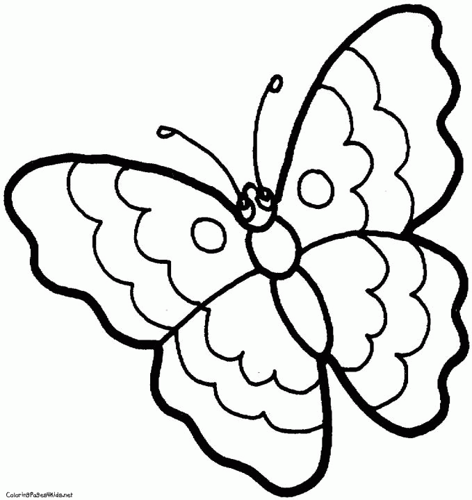 Butterfly 3 Cool Coloring Page