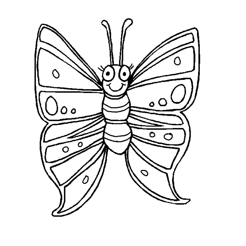 Butterfly 34