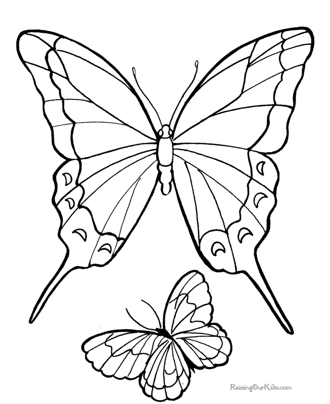 Butterfly 36