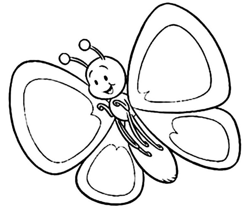Butterfly 38