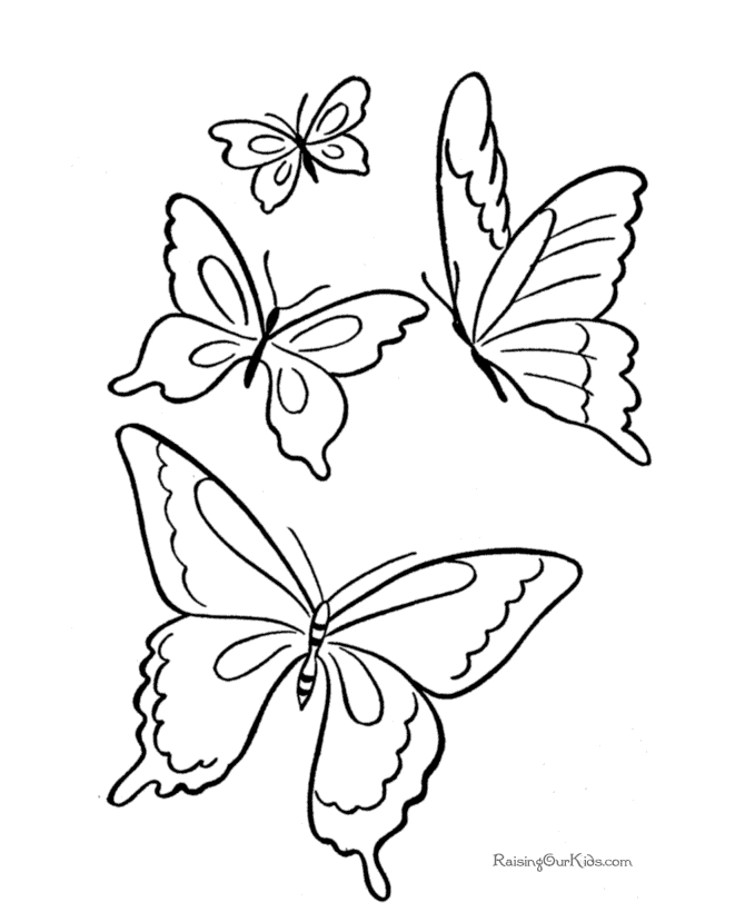 Butterfly 5 Cool Coloring Page