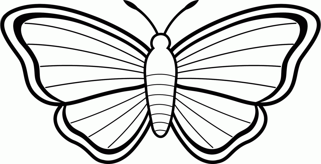 Butterfly 7 Cool Coloring Page