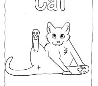 Cat 46 Cool