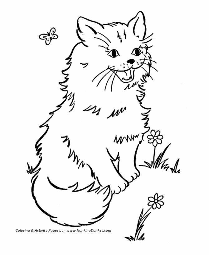 Cat 12 For Kids Coloring Page