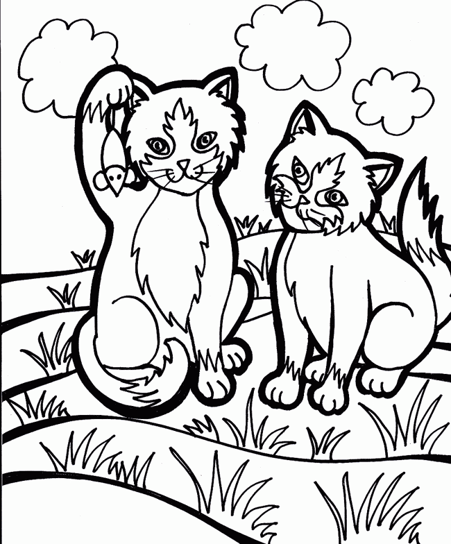 Cool Cat 17 Coloring Page
