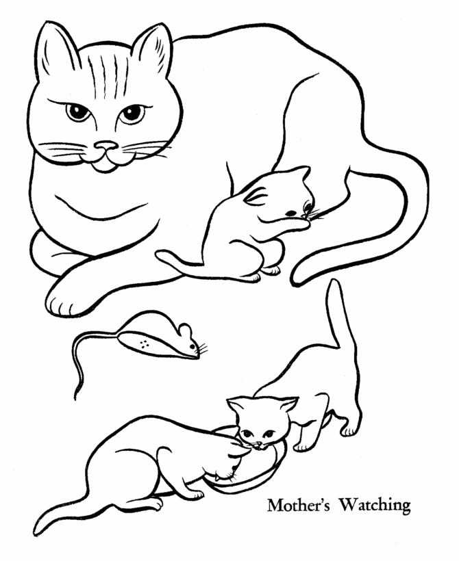Cat 19 For Kids Coloring Page