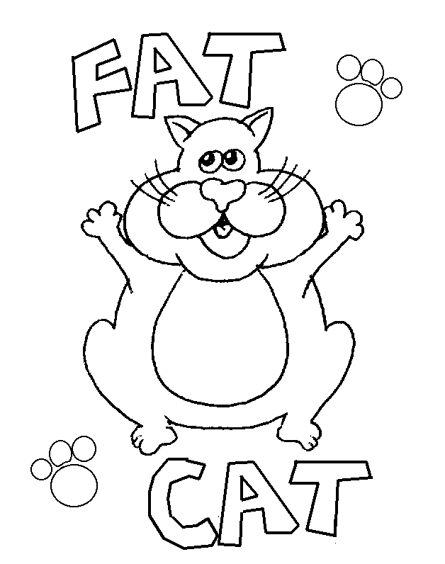 Cat 51 For Kids
