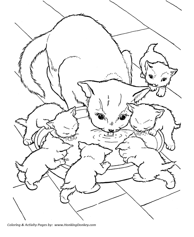 Cool Cat 6 Coloring Page