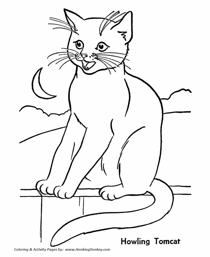 Cat 8 For Kids Coloring Page