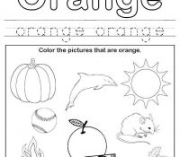 Cool Color Orange 24