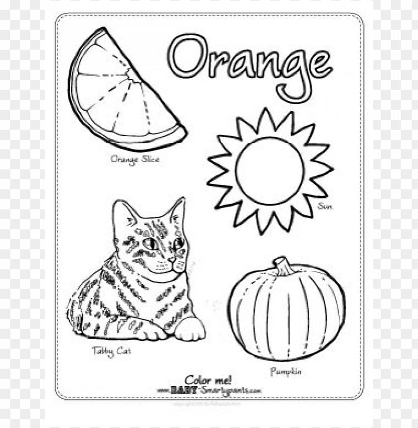 Color Orange 1 Cool Coloring Page