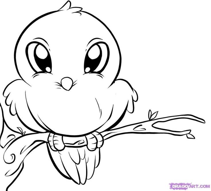 Cute Animal 18 For Kids Coloring Page
