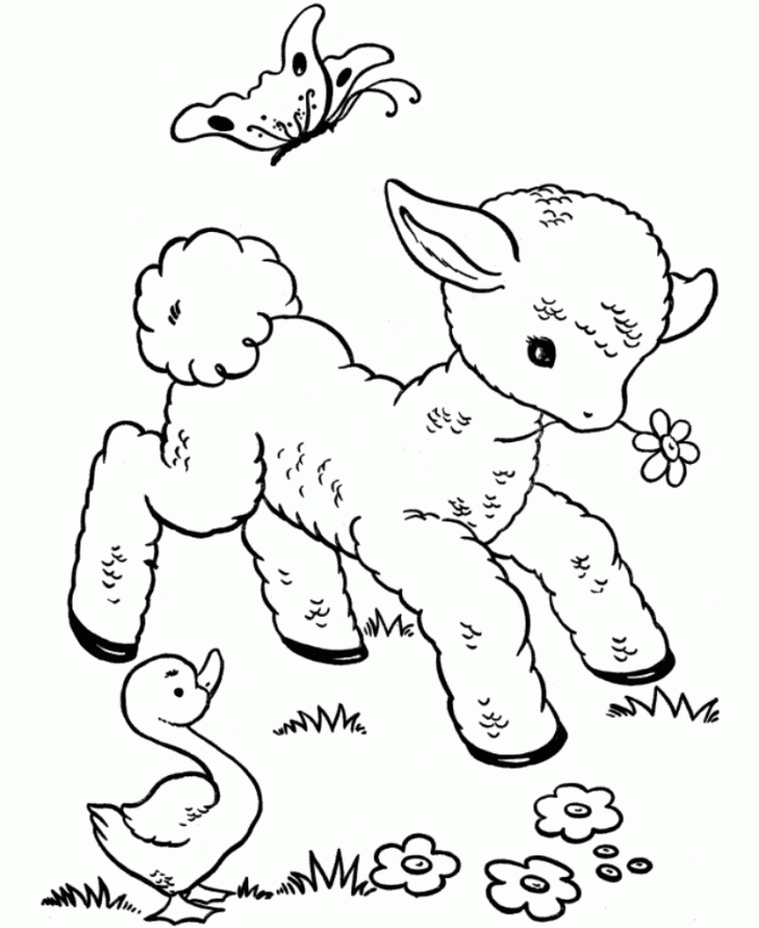 Cute Animal 19 Cool Coloring Page