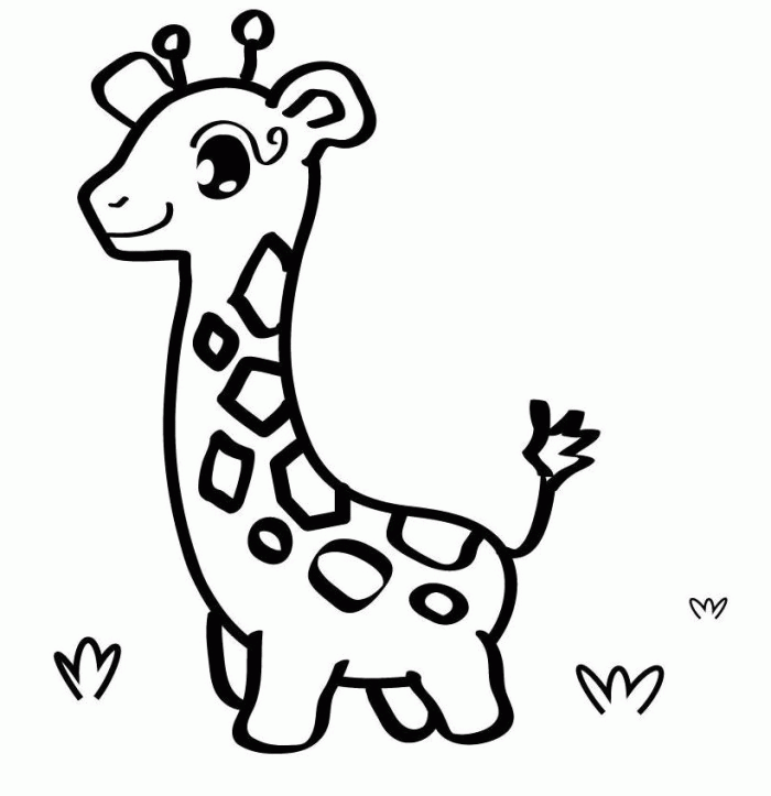 Cute Animal 21 Cool Coloring Page