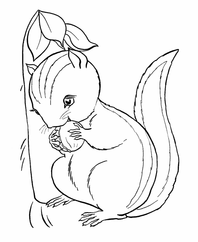 Cool Cute Animal 36 Coloring Page