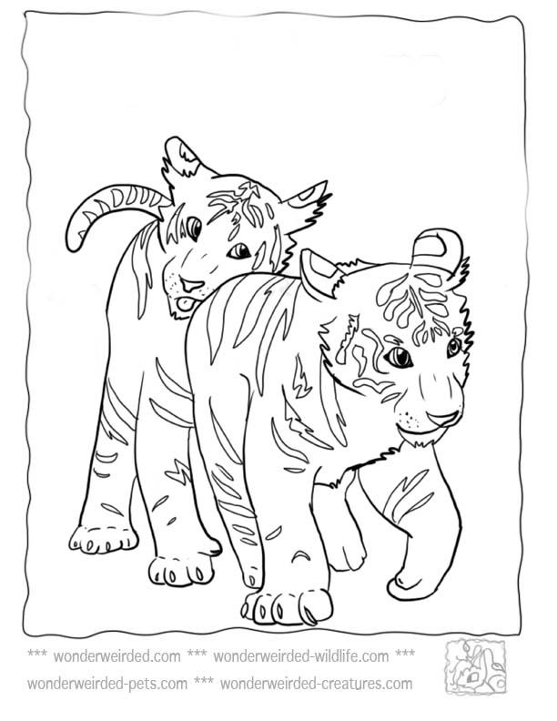 Cute Animal 41 Cool Coloring Page