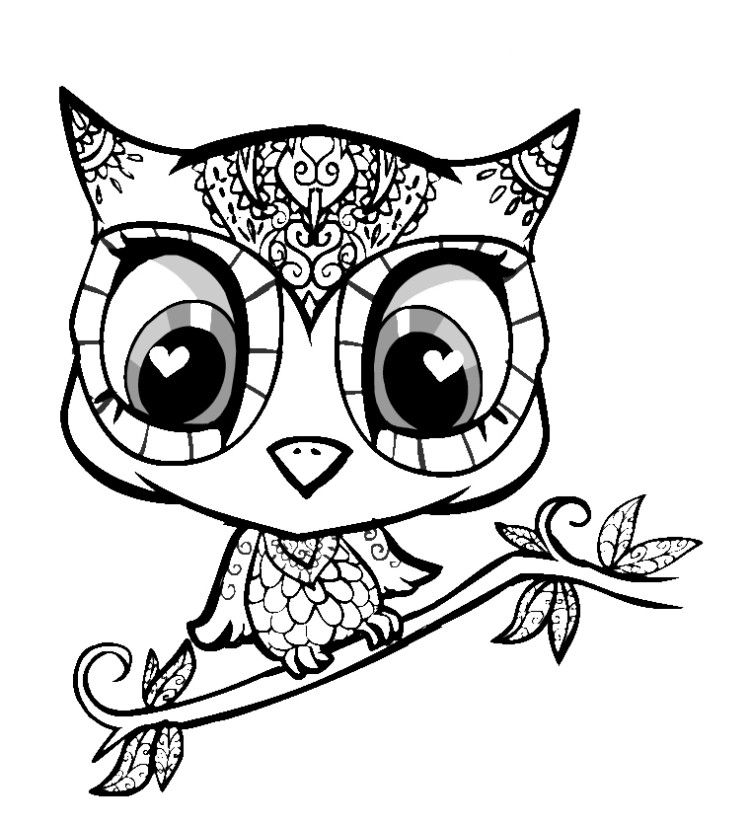 Cute Animal 5 Cool Coloring Page
