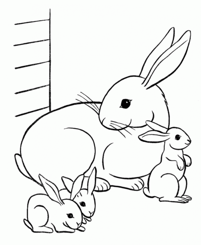 Cute Animal 55 Cool Coloring Page