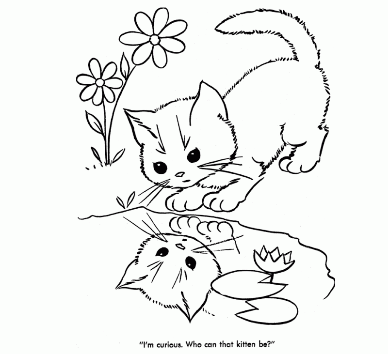 Cool Cute Animal 8 Coloring Page