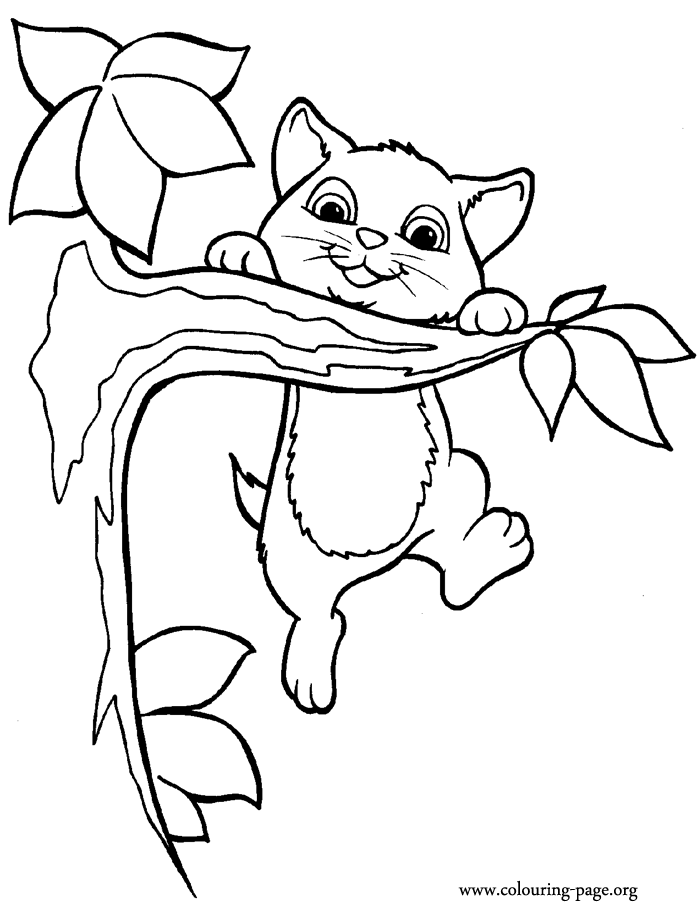 Cute Cat 15 For Kids Coloring Page