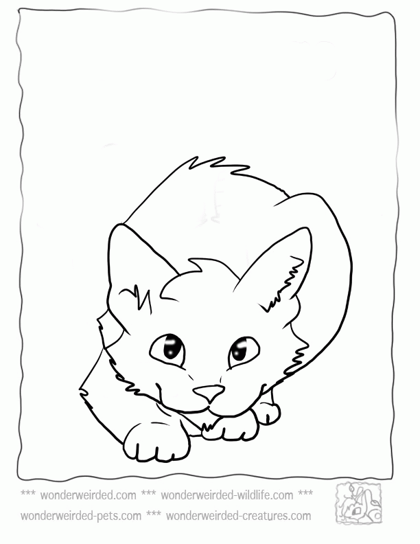 Cute Cat 18 Cool Coloring Page