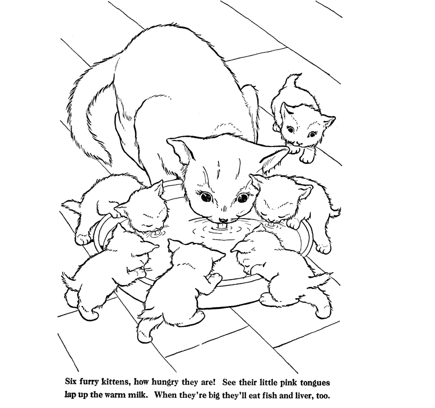 Cool Cute Cat 21 Coloring Page