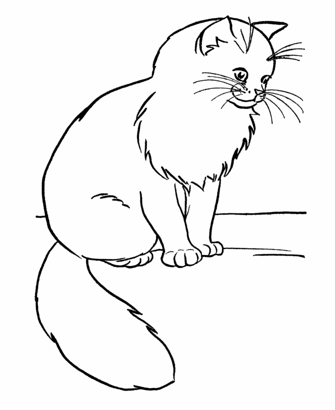 Cute Cat 24 Cool Coloring Page