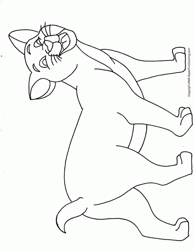 Cool Cute Cat 29 Coloring Page
