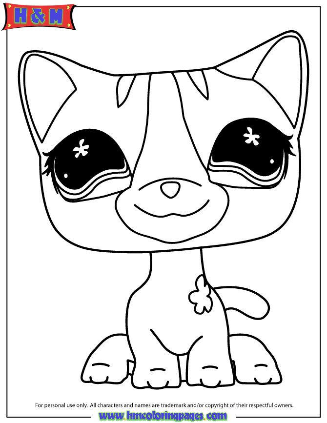 Cute Cat 31 For Kids Coloring Page
