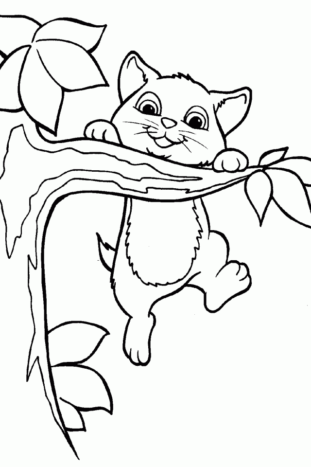 Cute Cat 8 Cool Coloring Page