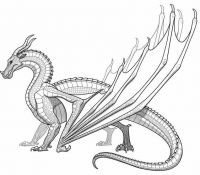 Cool Detailed Dragon 25