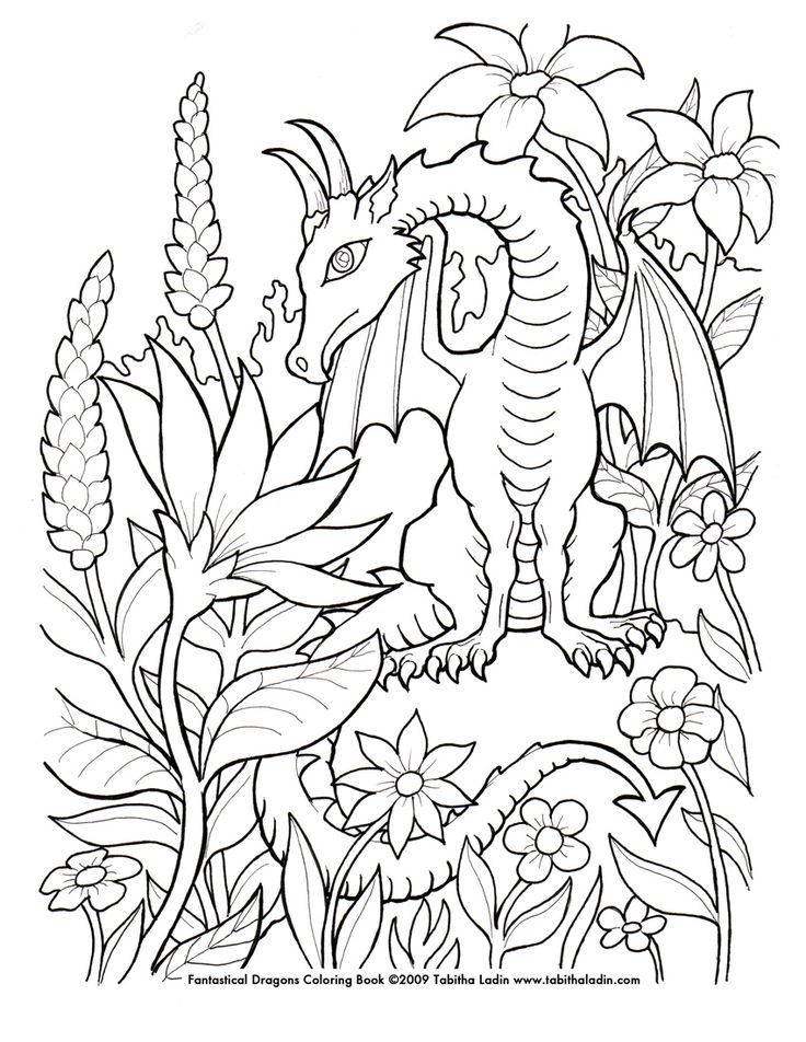 Detailed Dragon 10 Cool Coloring Page
