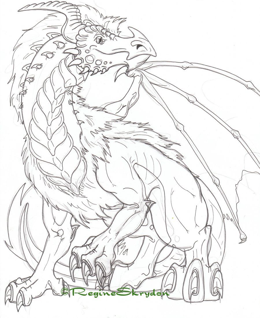 Detailed Dragon 14 Cool Coloring Page