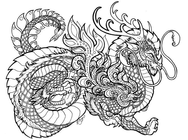 Detailed Dragon 16 Cool Coloring Page