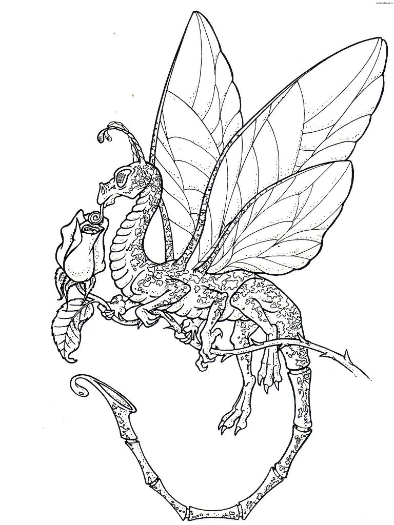 Detailed Dragon 18 Cool Coloring Page