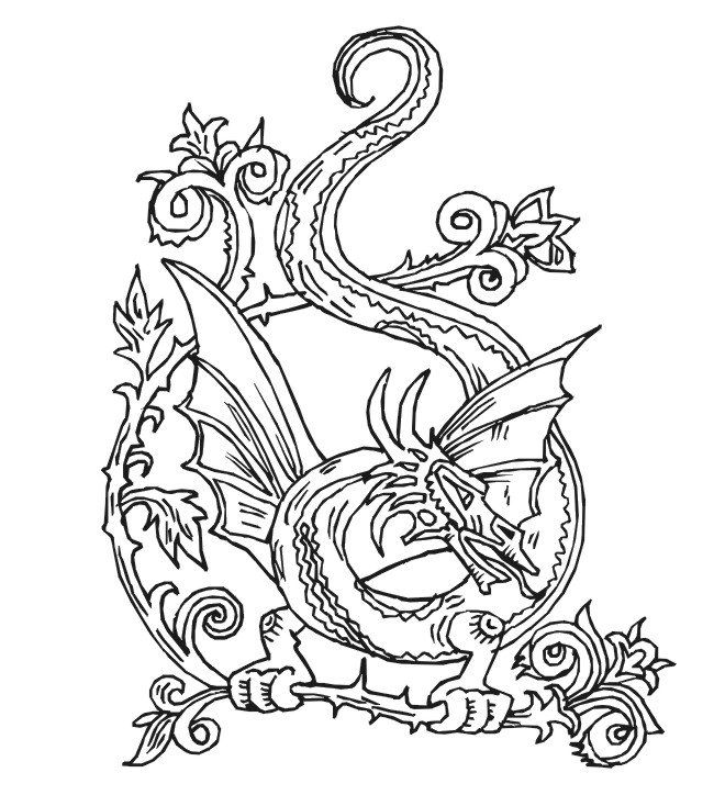Detailed Dragon 24 Cool Coloring Page