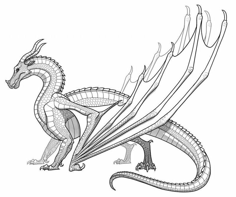 Cool Detailed Dragon 25 Coloring Page