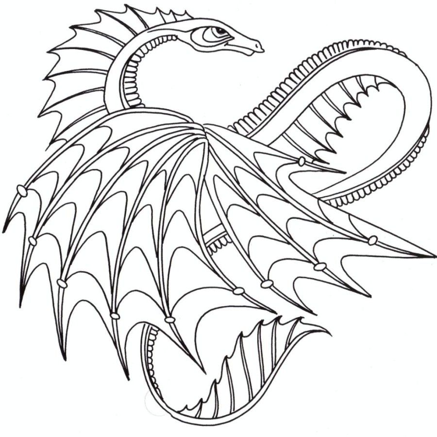 Detailed Dragon 28 Cool Coloring Page