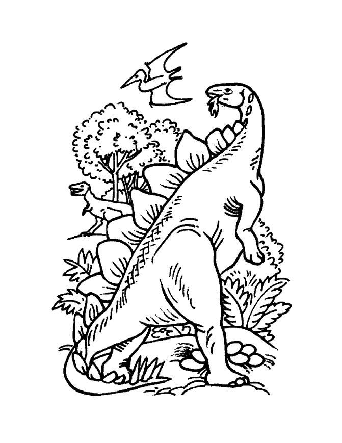 Dinosaur And Bird Cool Coloring Page