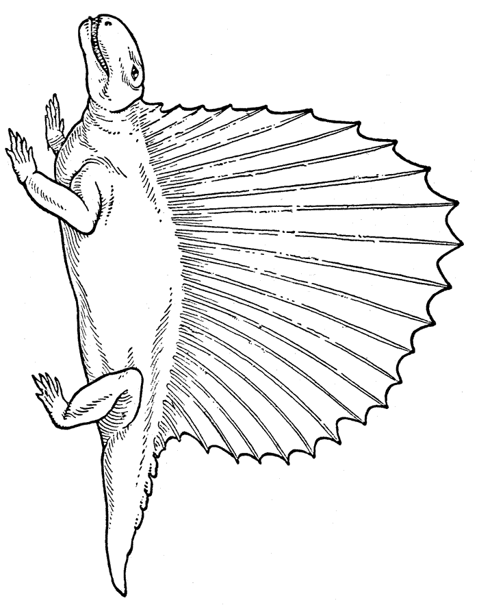 Cool Dinosaur With Short Tail Coloring Page