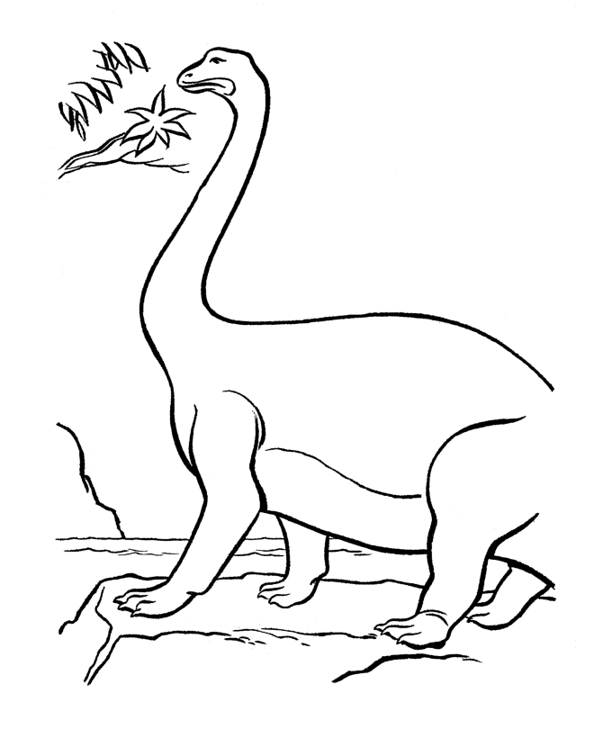 New Baby Dinosaur For Kids Coloring Page